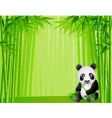 Panda in the bamboo forest vector image