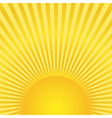 Sunburst vector image