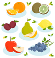 Fruits vector image