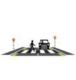Zebra crossing pedestrian vector image