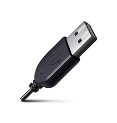 Usb cable isolated on white vector image