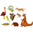Australian animals vector image