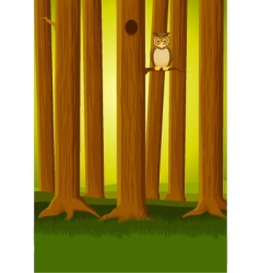 Owl in the forest vector image