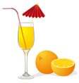 Ripe orange and goblet of juice vector image