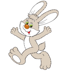 Bunny vector image