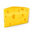 Cheese vector image