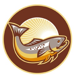 Trout fish vector image