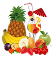 Cocktail and fruits banana apple peach cherry plum vector image