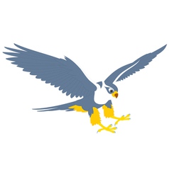 Falcon vector image