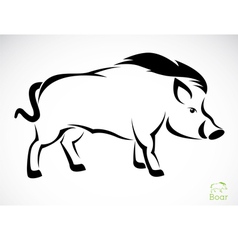 Boar vector image