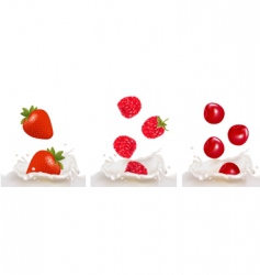 Set with berry and milk vector image