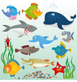 Cartoon fish set vector image