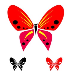 Butterfly vector image