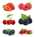 Forest berry Sweet fruit Realistic 3d icon set vector image