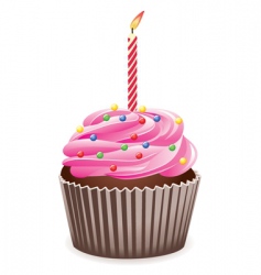 Cupcake vector image