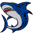 Angry shark vector image
