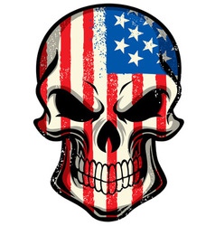 American flag painted on skull vector image