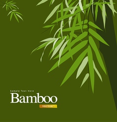 Bamboo greeting card vector image