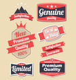 Retro design label set vector image