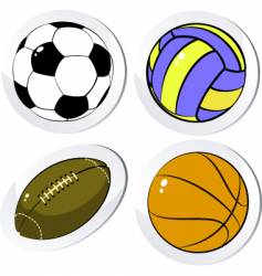 Sports balls vector image