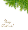 Christmas tree branch vector image