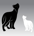 Cat vector image