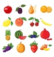 Fruit icons set cartoon style Fruit icons set cartoon style vector image