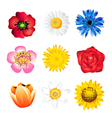 Spring flowers vector image