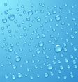 Water drops vector image