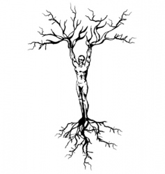Tree roots vector image