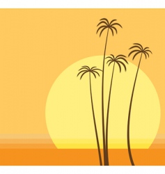 Palm beach vector image