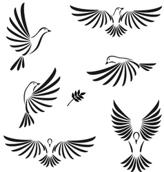 Flight of dove vector image