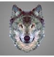 Wolf low poly portrait vector image