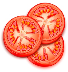 A slice of tomato vector image