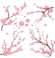 Japanese branch Japanese branch vector image