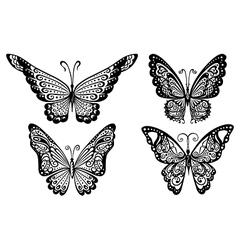 Butterflies vector image