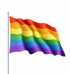 Rainbow flag vector image