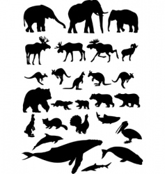 Animal collection vector image