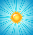 Big shining summer sun vector image
