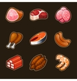 Meat food icons set vector image