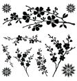Flower ornaments vector image