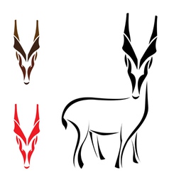 Goral vector image