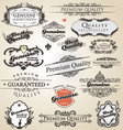 Premium quality and satisfaction guarantee vintage vector image