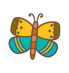 A butterfly vector image