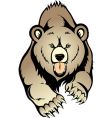 Grizzly bear vector image