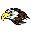 Falcon head mascot vector image
