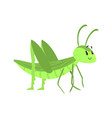 Cute cartoon green grasshopper character Cute cartoon green grasshopper character vector image