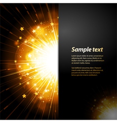 Firework starburst panel background with sample vector image