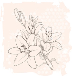 Vintage floral lily vector image