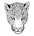 Leopard face tattoo print Leopard face tattoo print vector image